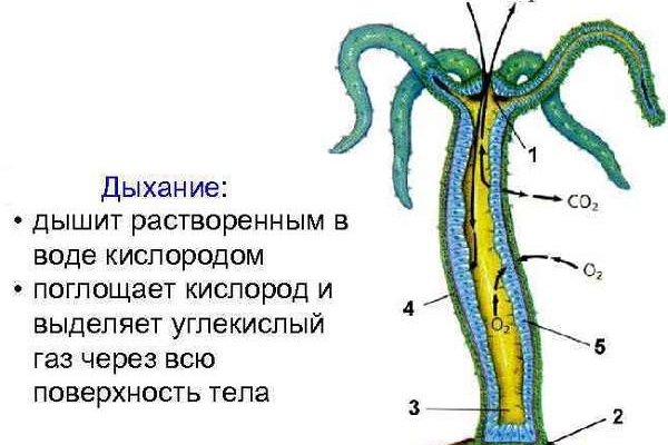 Кракен нарко