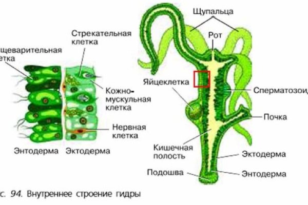 Кракен сайт продаж