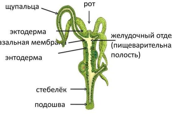 Кракен маркетплейс что продают